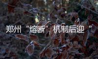 郑州“熔断”机制后迎“首秀” 明天9块宅地网拍