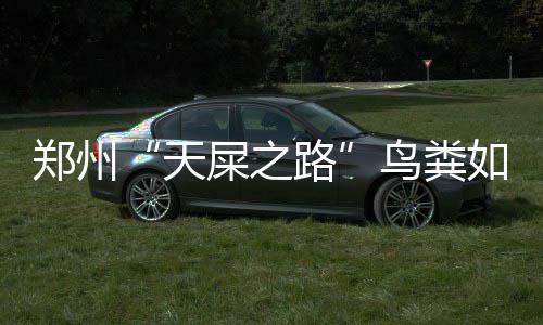 天津美国留学中介大比拼！谁才是真正的实力天花板？ 就会整体飞往另一个地方驻巢