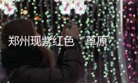 郑州现紫红色“草原” 不少市民前来观赏