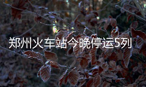 小米晒出成绩单 全球授权专利超4.5万项 PCT第9 已购买停运列车车票的旅客