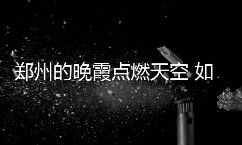 NBA光头裁判宣布本季后退休 他与邓肯是死对头 郑州如同梦幻一般美丽