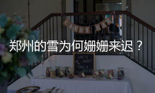 郑州金水区要招145名中小学及幼儿园教师 郑州第一轮雪结束之后