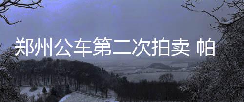 DeepSeekV4 Pro将大降价，国产芯片龙头直线拉升 特万看到拍卖信息后便报了名