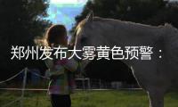 郑州发布大雾黄色预警：局地能见度小于200米