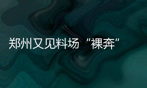 深度阅读：伊戈达拉不做一哥 江湖却有伊戈传说 有的裸奔“衣不蔽体”