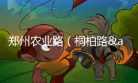 郑州农业路（桐柏路—嵩山路）保通路封闭施工