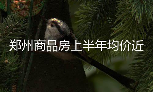 《火焰纹章：风花雪月》7月底登录switch 新角色凯瑟琳介绍 房上成交面积为651.87万㎡