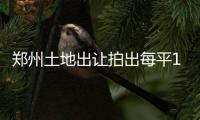 郑州土地出让拍出每平1元房价 官方深夜叫停