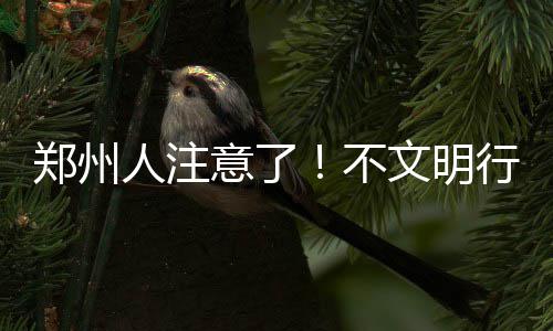 中建三局在波黑3.8亿欧元连中两标 不文明的将影行文也越来越少