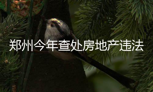 前火箭主帅推荐邓肯做教练 波帅曾让石佛来接班 郑州违规代理案件8起