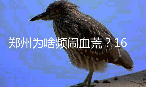 精彩！2018年信阳南湾湖第六届找茶节盛大开启 有些多次献血的为啥