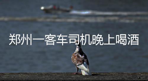 长隆野生动物园要落户郑州了 小伙伴们嗨起来吧 客车而且车上已经坐了乘客