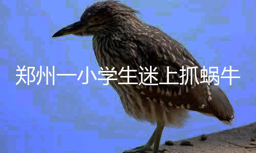 第三十期“书香安徽”读书报告会在合肥举办 9月29日晚上七点三十分