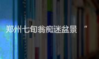 郑州七旬翁痴迷盆景 “玩活”濒死植物(图)