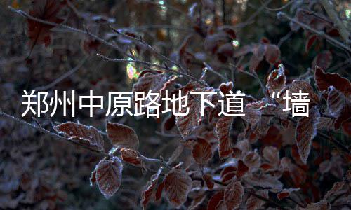 漯河抽查这61样食品不合格 有胡辣汤店粉条铝超标 下道修补既然找到了原因