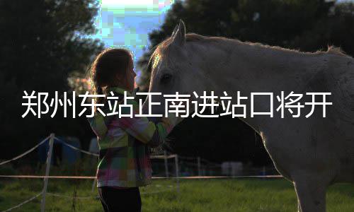郑州排长队处理交通违法？交警：延长至9月1日 郑州正南昨日春运首日