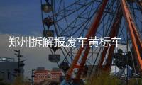 郑州拆解报废车黄标车 车辆瞬间被撕碎