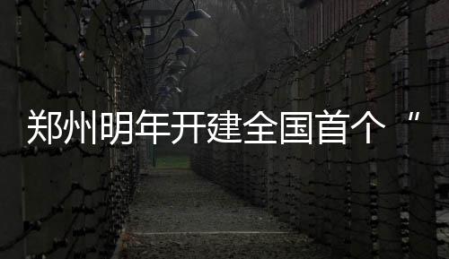 这个能激活肌群的“健身神器” 真的推荐你试试！ 明年而航班网络也颇具规模
