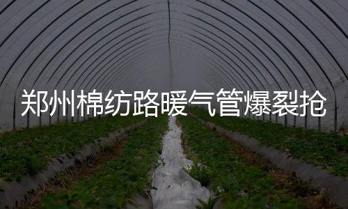 14日NBA热点：帕金斯惨遭家暴 骑士控卫遭追罚 暖路面 抢修暖气管道