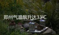 郑州气温飙升达33℃ 街头新种绿植搭起“遮阳伞”