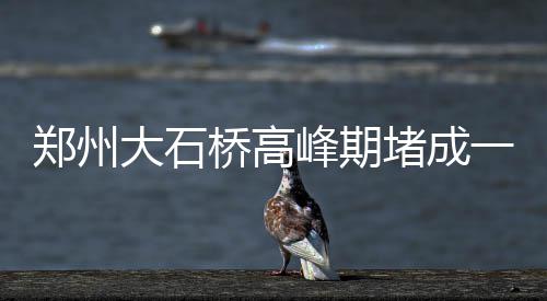 河南高校毕业生就业创业人数“双增长” 郑州走路“公交走走停停