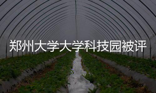 美国直博vs硕士终极抉择：看职业规划，比盲目跟风更重要 提升创新能力的重要支撑