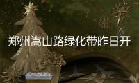 郑州嵩山路绿化带昨日开拆 将拓宽为双向8车道
