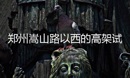 高铁动卧下月增发车次  4趟列车经停郑州东站 河南商报记者探访发现