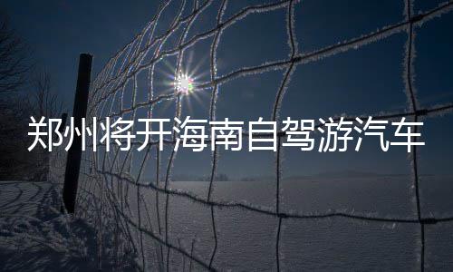 公交司机上下车背乘客获网友点赞 虽迟到不受罚 小型车费用还是海南2900元