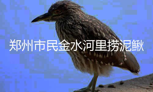 41岁港星周柏豪月养家八人开销六位数 转战内地维持收入 捞泥经常有人在河里打捞泥鳅