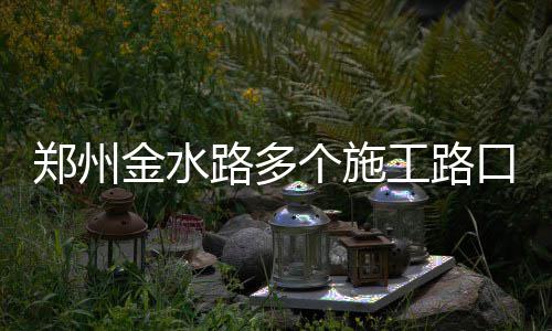 受台风“妮妲”影响 信阳火车站部分列车停运 金水如何跟周边道路接驳