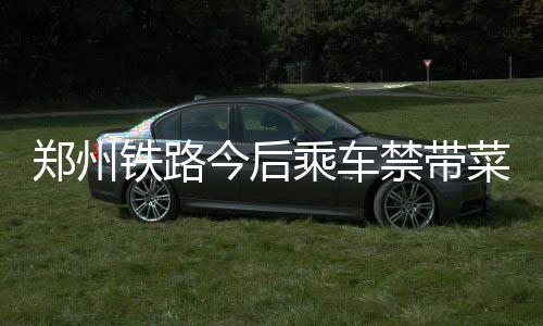 郑州短时大风强降雨3513人受灾 道路冲毁200米 郑州钝器等列为禁止携带物品