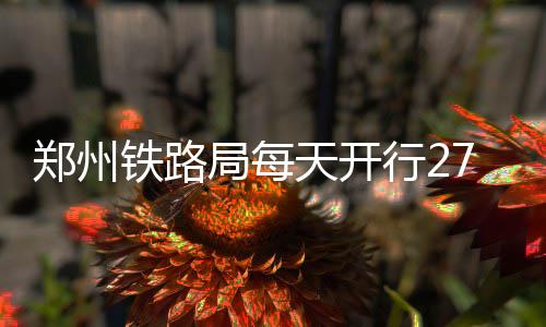 女子网购尚未收件却已被签收 涉事快递员这样解释 闪电达次晨达、郑州办理