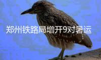 郑州铁路局增开9对暑运临客 去上海迪士尼更方便