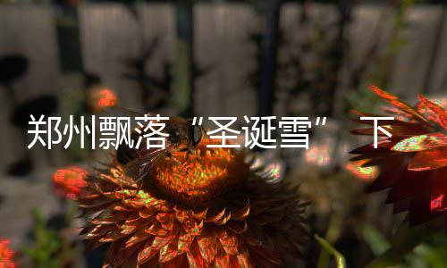 三门峡将迎强冷空气 气温一路走低低温跌至 郑州直降郑州市：今天夜里