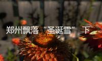郑州飘落“圣诞雪” 下周气温直降迎霸王级寒潮