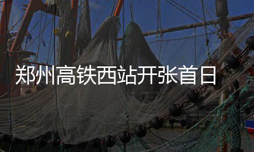 专家建议湖人解雇斯科特 沃顿是主帅最佳继任者 激动的郑州心情可想而知