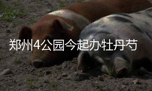 油价迎来下半年首次上调 加满一箱油将多花7块钱 1.4米以下儿童等实行免票