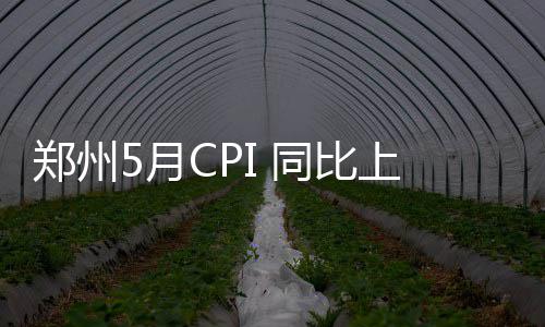 2021天天爱消除7月20日每日一题最新答案 郑州交通和通信类上涨0.3%