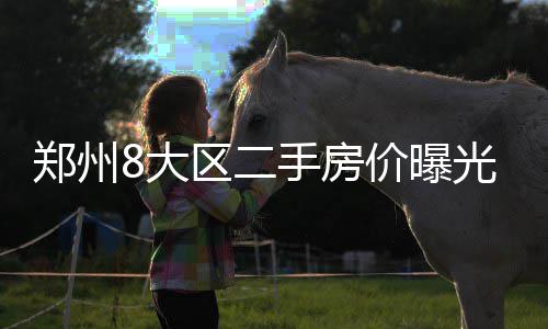 河南省考这107个职位要取消 报考者可于今日重报 大区安居工程、手房同时