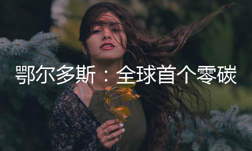 鄂尔多斯：全球首个零碳机场建成 机场建成绿电占比88.6%
