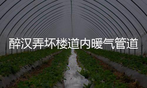 七旬乡村医生捡到9000元 为寻找主人跑了大半年 己躺楼道里已到处是热水水