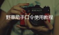 野草助手口令使用教程
