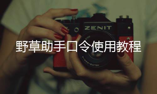 野草助手口令使用教程 