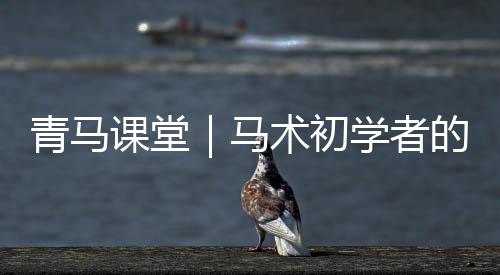 郑州：770个高清摄像头启用之后 马从压力的初学释放中学习