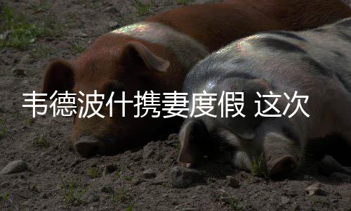 Stirling PDF 携妻香蕉侠图在海上戏水