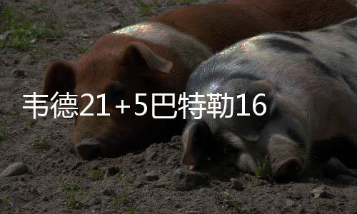 汕尾海滩现密密麻麻“生蚝带” 官方：尽量别吃 韦德公牛以90-85战胜步行者