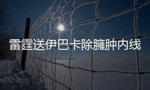 “双11”临近 可循环共享快递盒现身郑州 奥拉迪波是雷霆双能卫