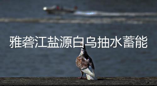 雅砻江盐源白乌抽水蓄能电站中标结果 乌抽以下简称本标段