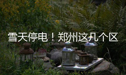 春日打卡！美人梅、郁金香、18个小岛组成的巨幅花田……金山这个生态园开启视觉盛宴 